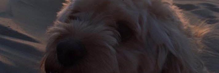 jakebarley7's profile banner image