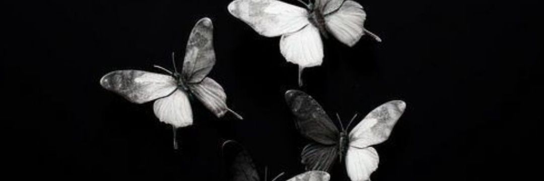 AlexisBakewell's profile banner image