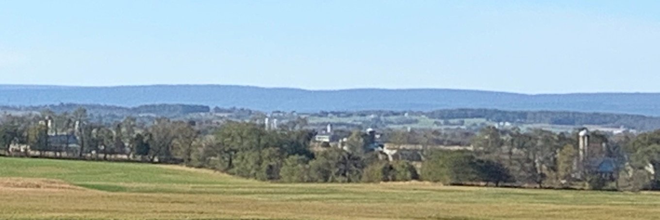 Brenda Morrow banner