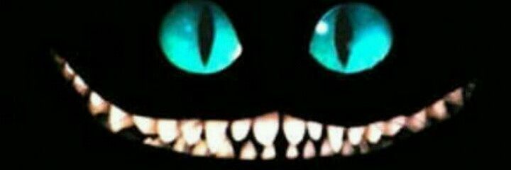 ingridbellini4's profile banner image