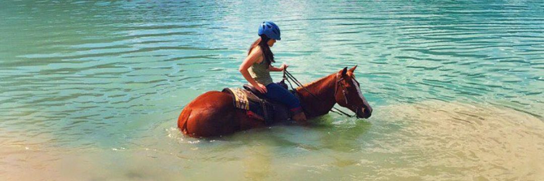 𝗴𝗵𝗼𝘀𝘁𝗳𝘀𝗰𝗲𝘅 banner