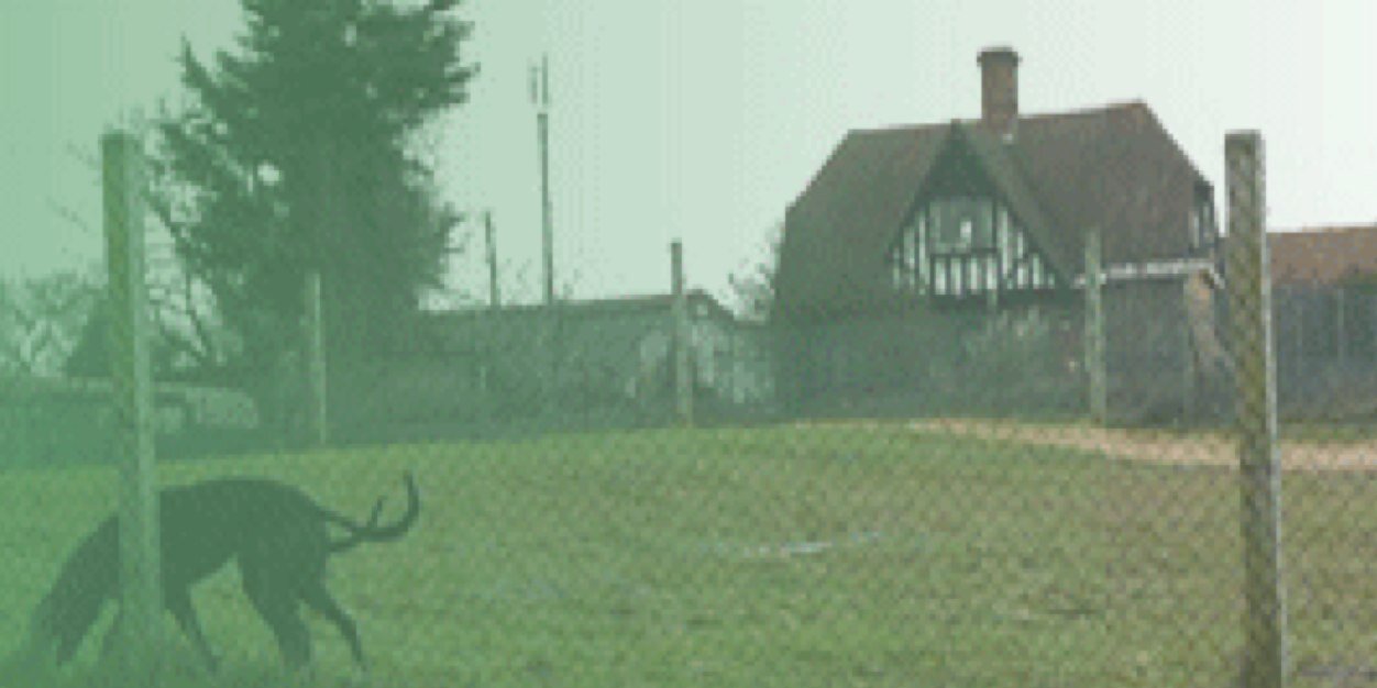 Dillymore's profile banner image