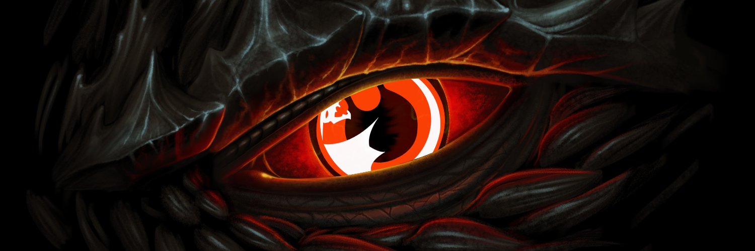 QUB Dragonslayers banner