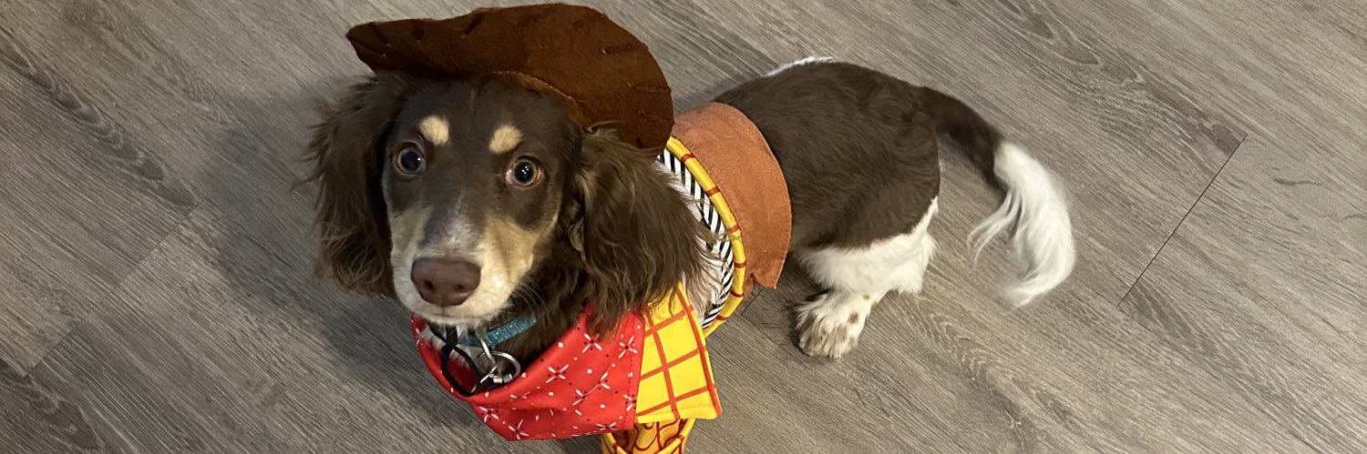 DonFrijol__'s profile banner image