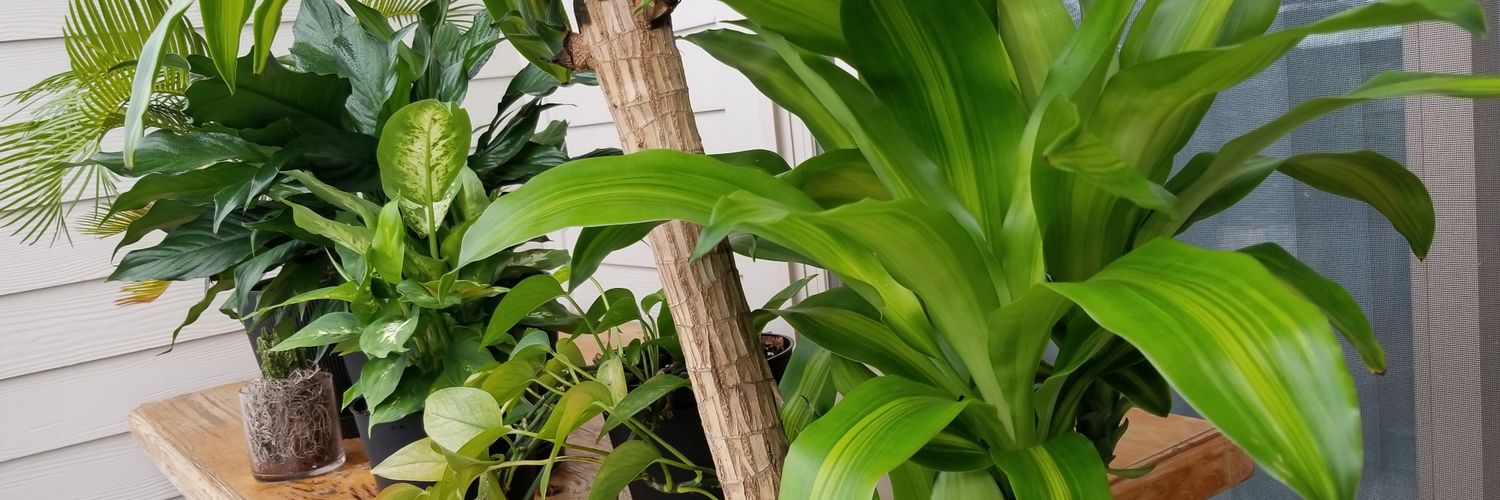 JoelCClark's profile banner image