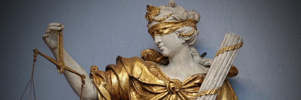 Veronica banner