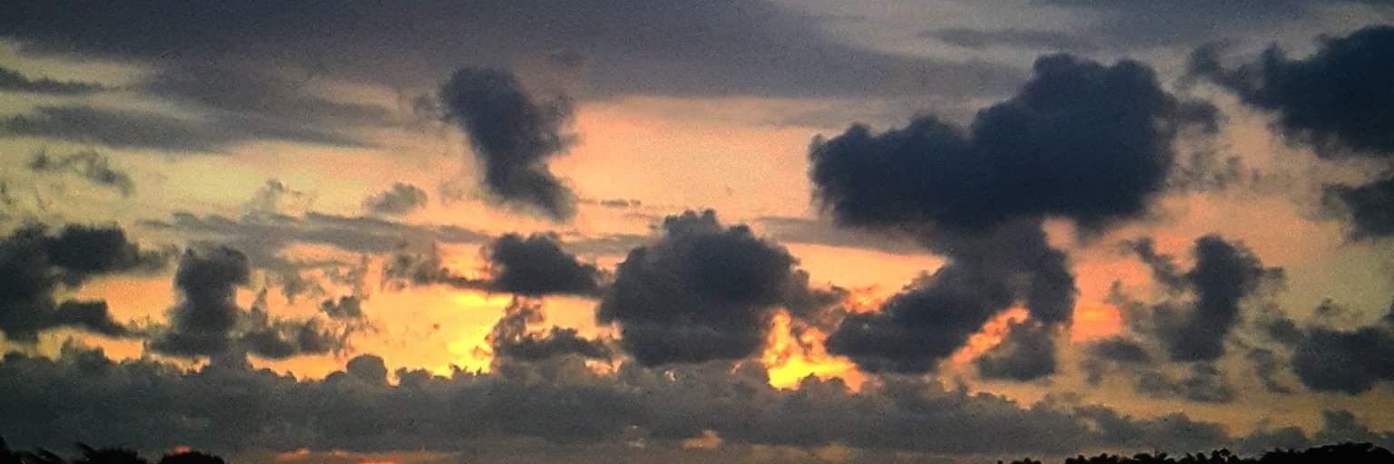 AngieColeridge's profile banner image