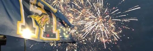 Tracy Carlson banner