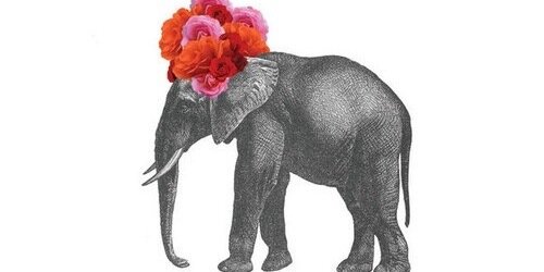 avec_harry's profile banner image
