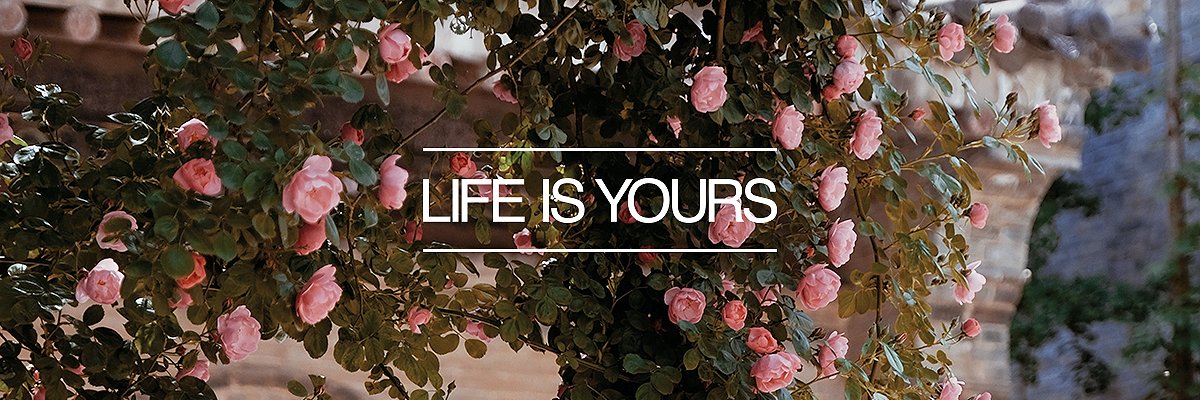 Foals Worldwide banner