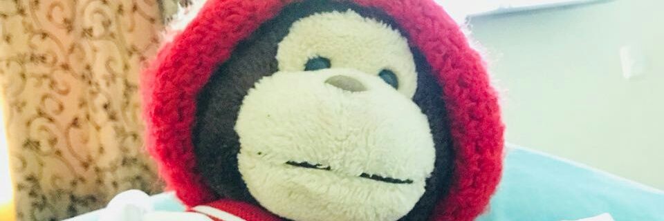 Josueaqa's profile banner image