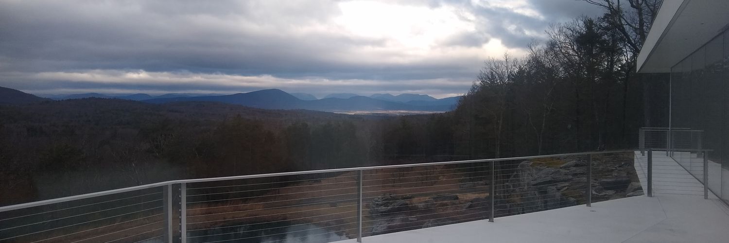 Sane NYC Resident banner