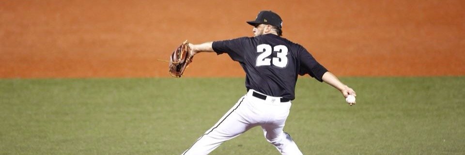 James Bierlein banner