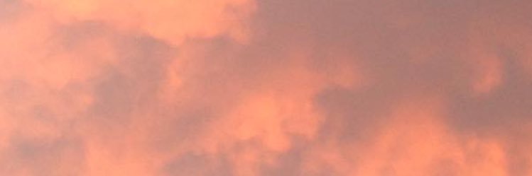 abratwurst's profile banner image