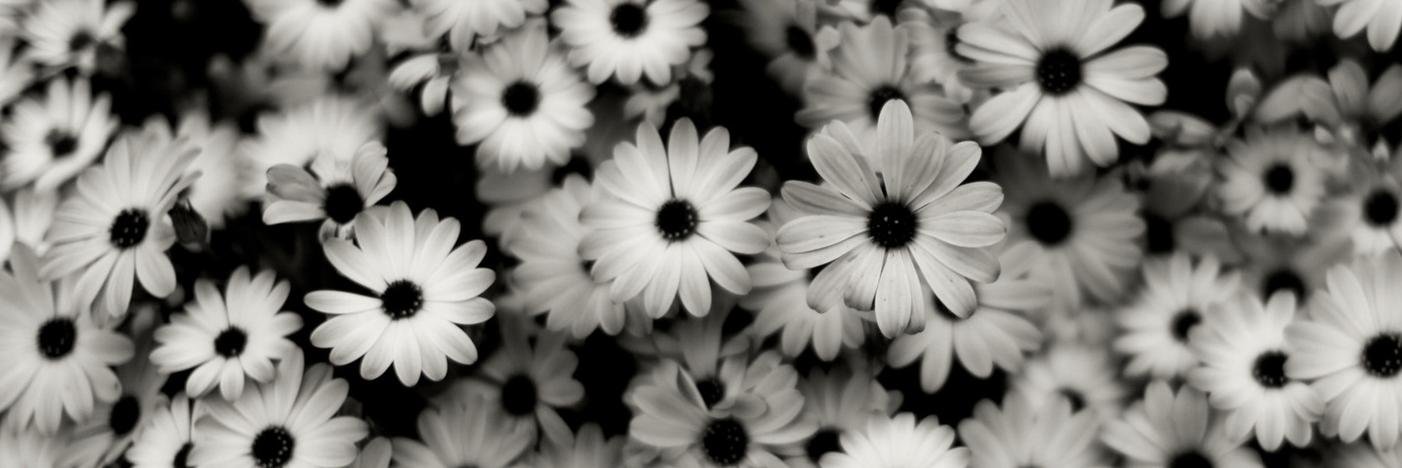 LydiaMarieBag's profile banner image
