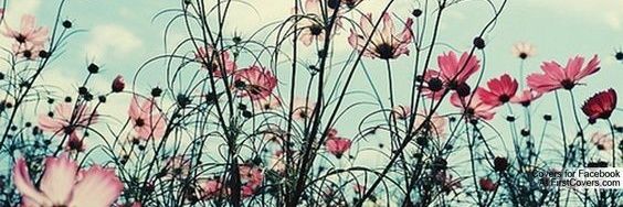 ShandaMSNRN's profile banner image