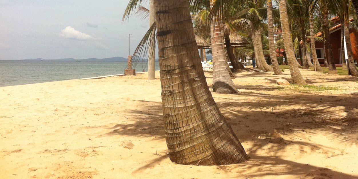 Tamrah Petruzzelli banner