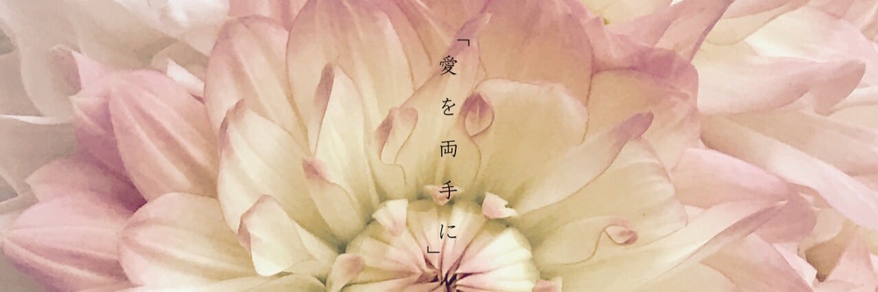daidai0425's profile banner image