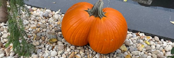 hrlomax Profile Banner