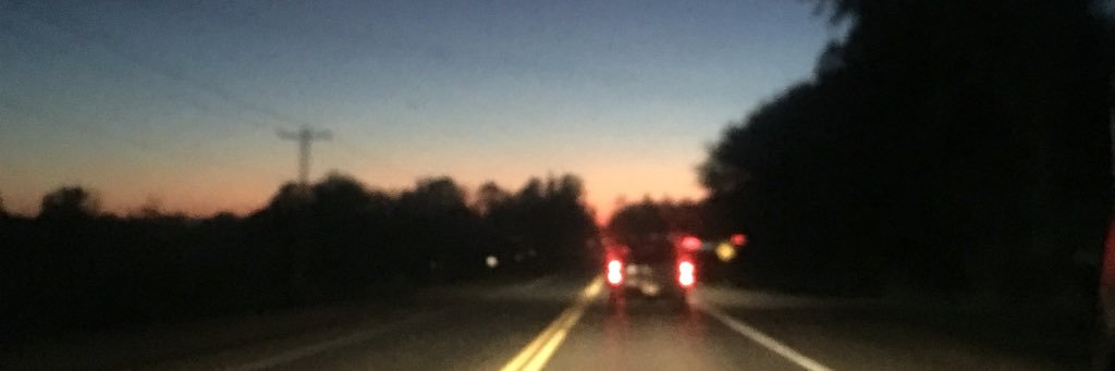 MegDavidson4's profile banner image