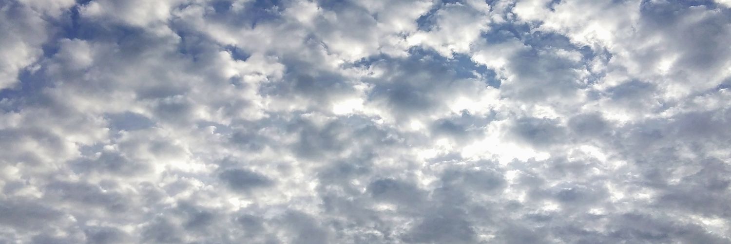 fernandonazer's profile banner image