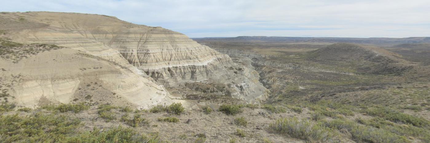 Caroline Strömberg banner