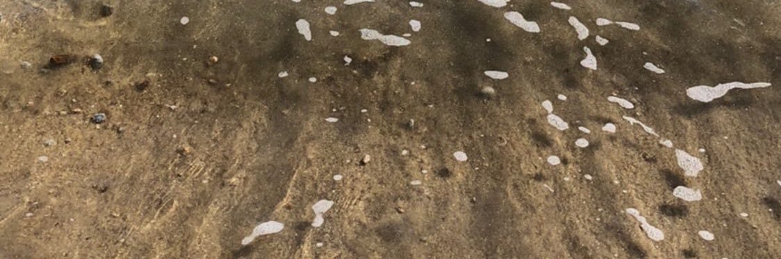 aseafull's profile banner image