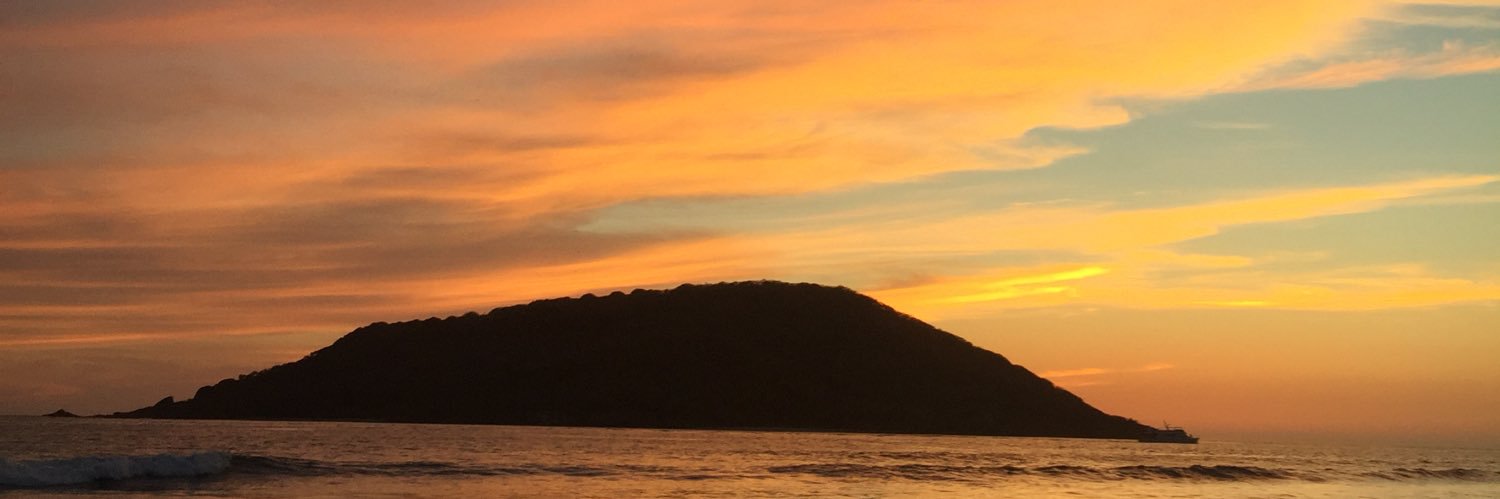 SMedinaW's profile banner image