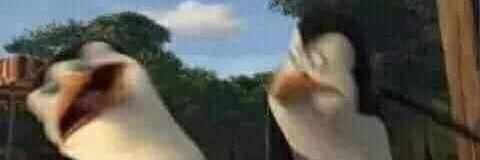 MauricioRv3's profile banner image