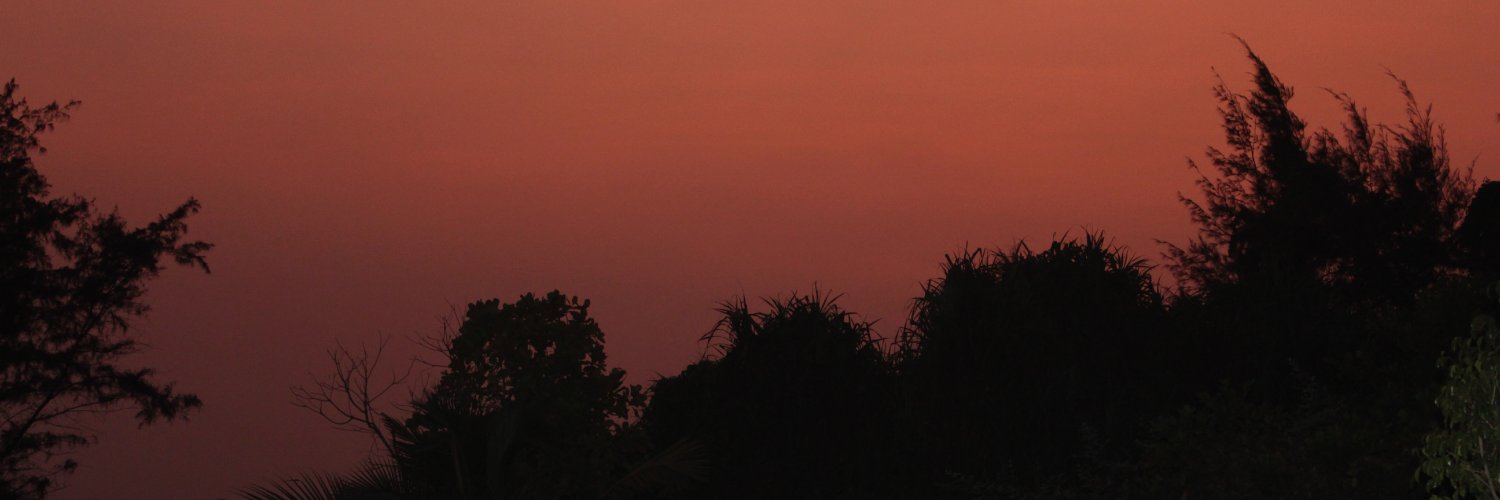 jungleboy1207's profile banner image