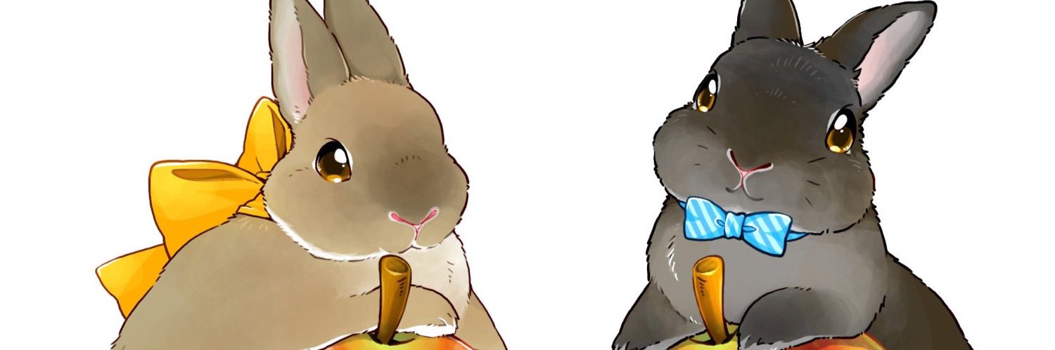 ringotokitty's profile banner image