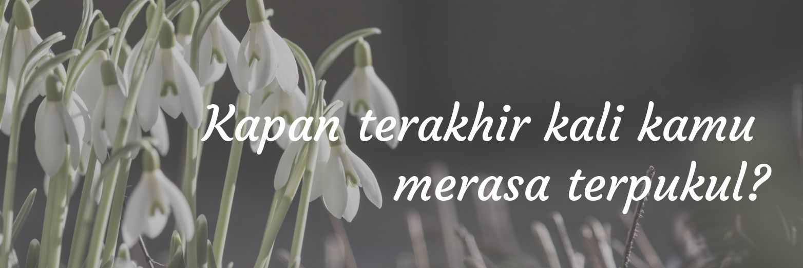 terpukul's profile banner image