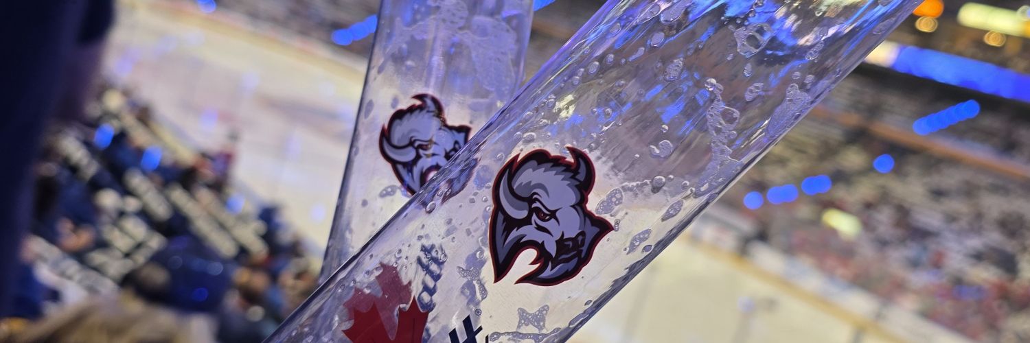SandyNiz2's profile banner image