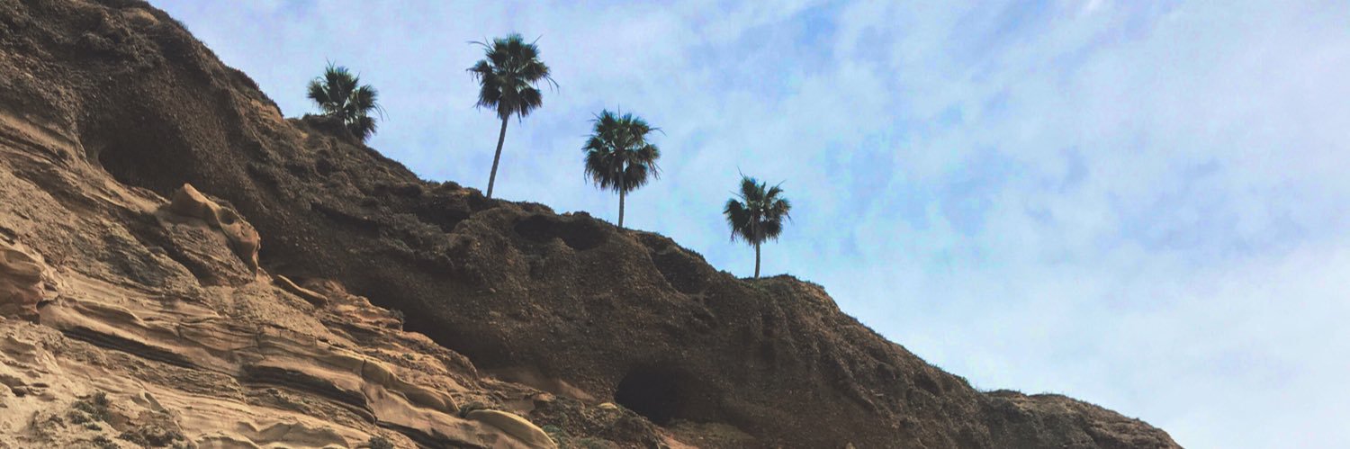 dayberryyy's profile banner image
