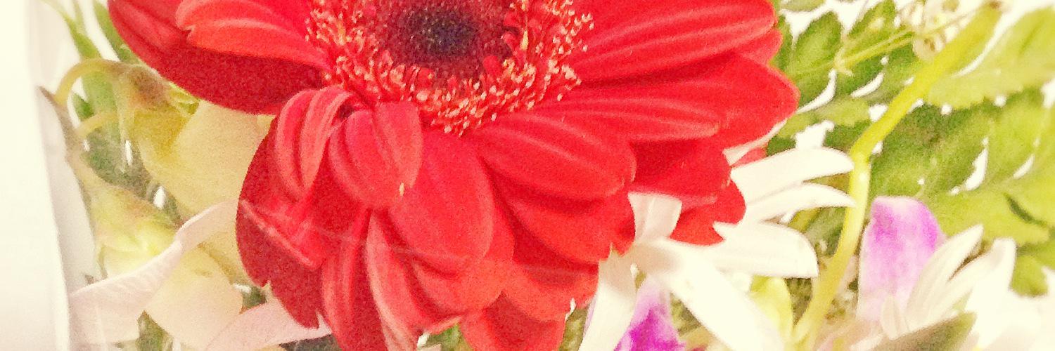 tiny_aquarium's profile banner image