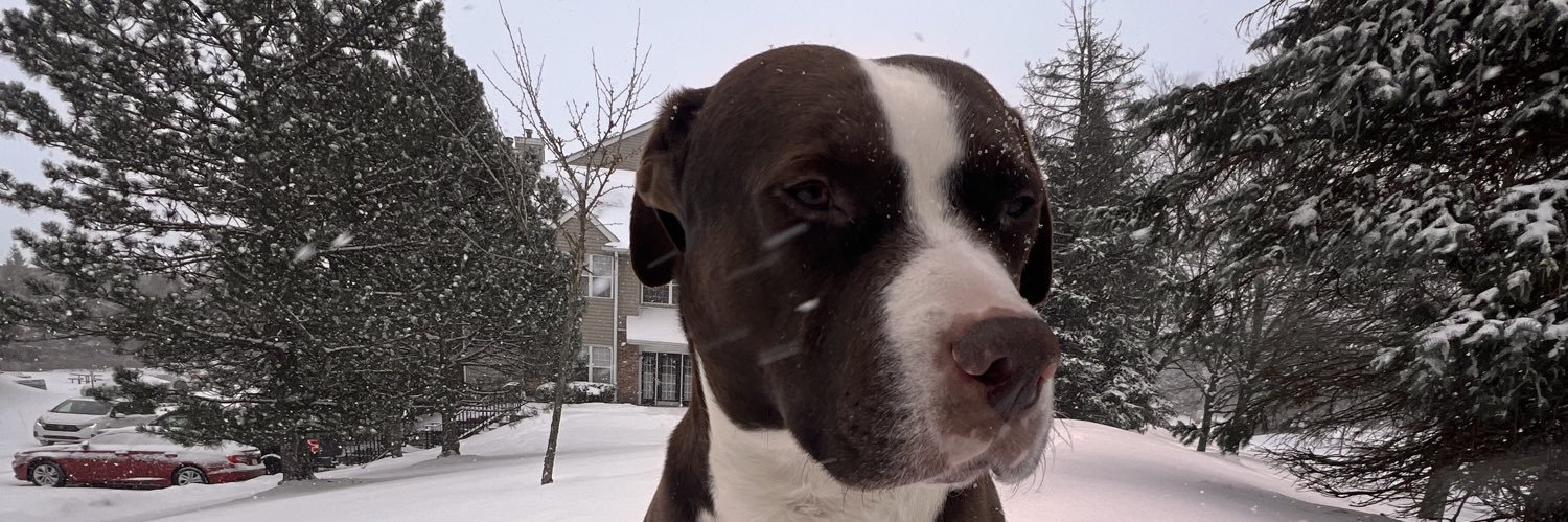 JoshBurger50's profile banner image