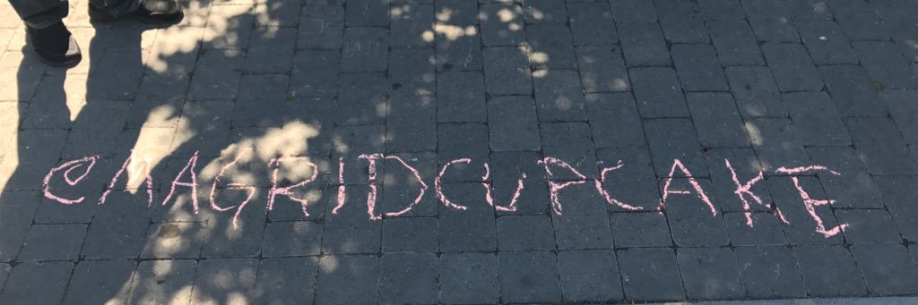 Macgill Davis banner