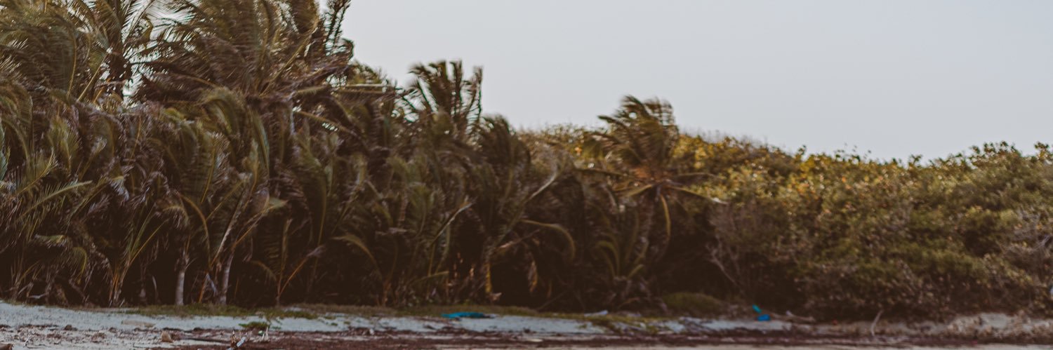 Domobike's profile banner image