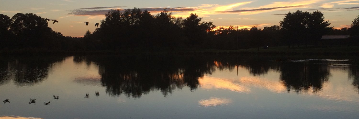 TNolfMillard's profile banner image
