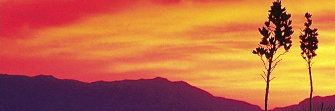 Merche 🔻 ❤️💛💜 banner