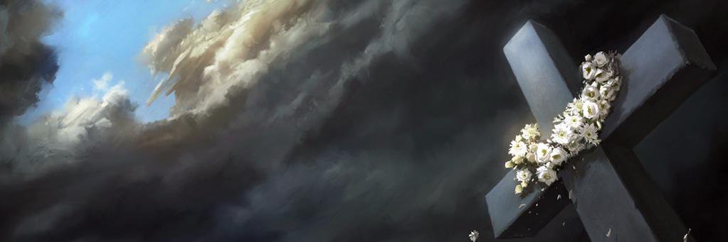 AdrianoSergnese's profile banner image