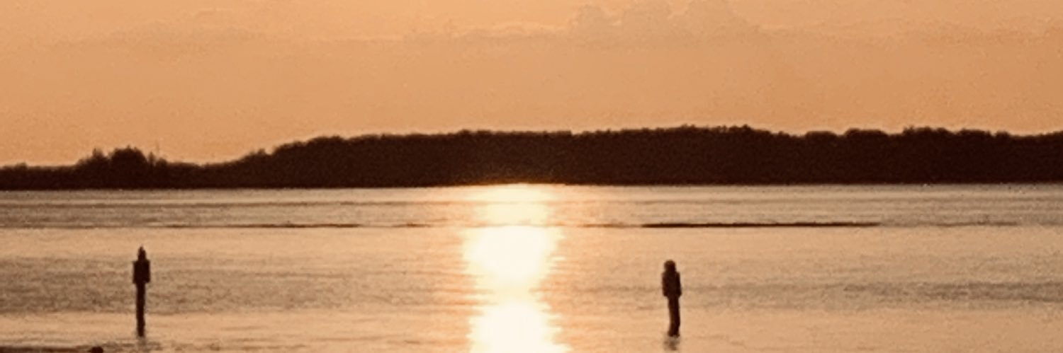 Ravenehill's profile banner image