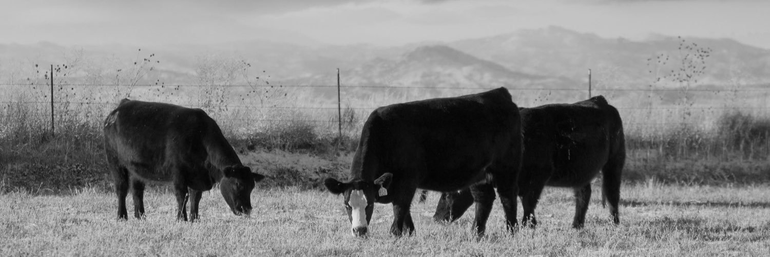 derekvogt's profile banner image