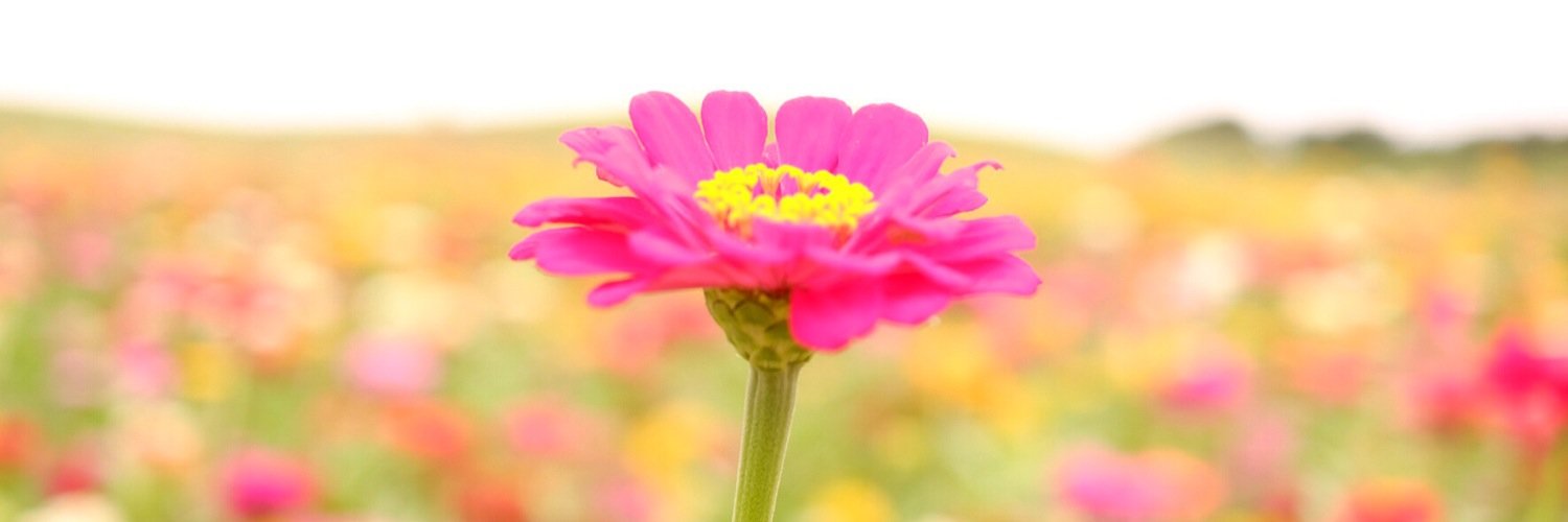 7konoko's profile banner image