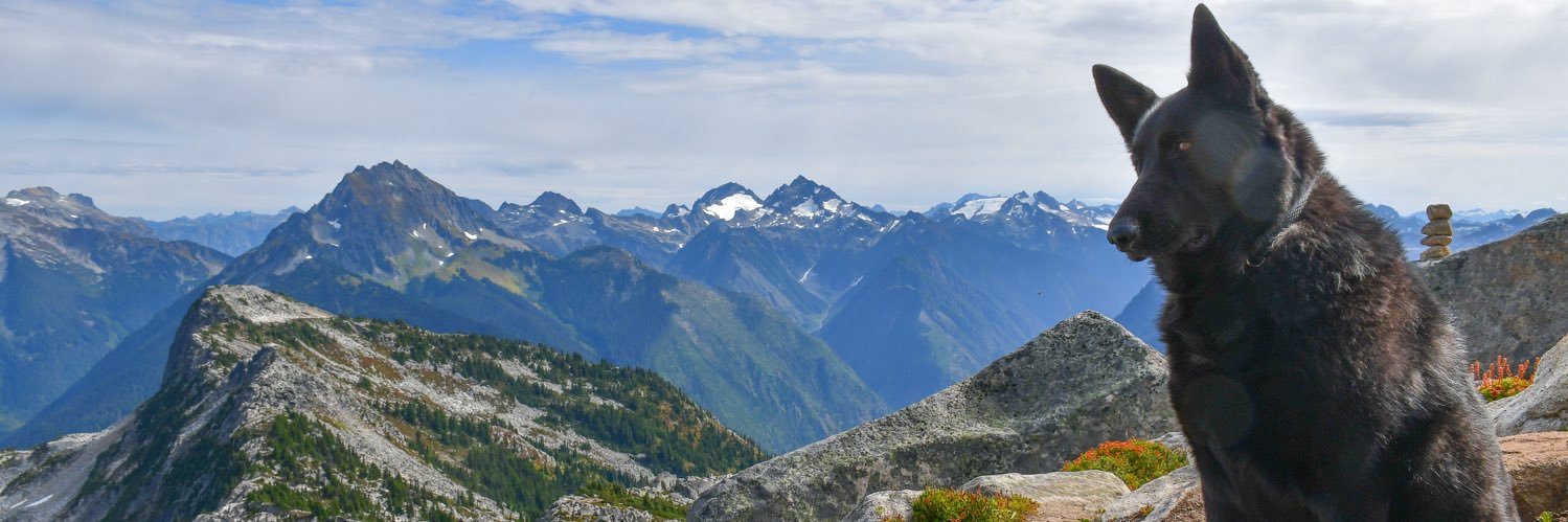 ShaneHummel2's profile banner image