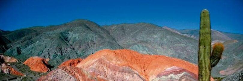 Miguel Moriconi banner