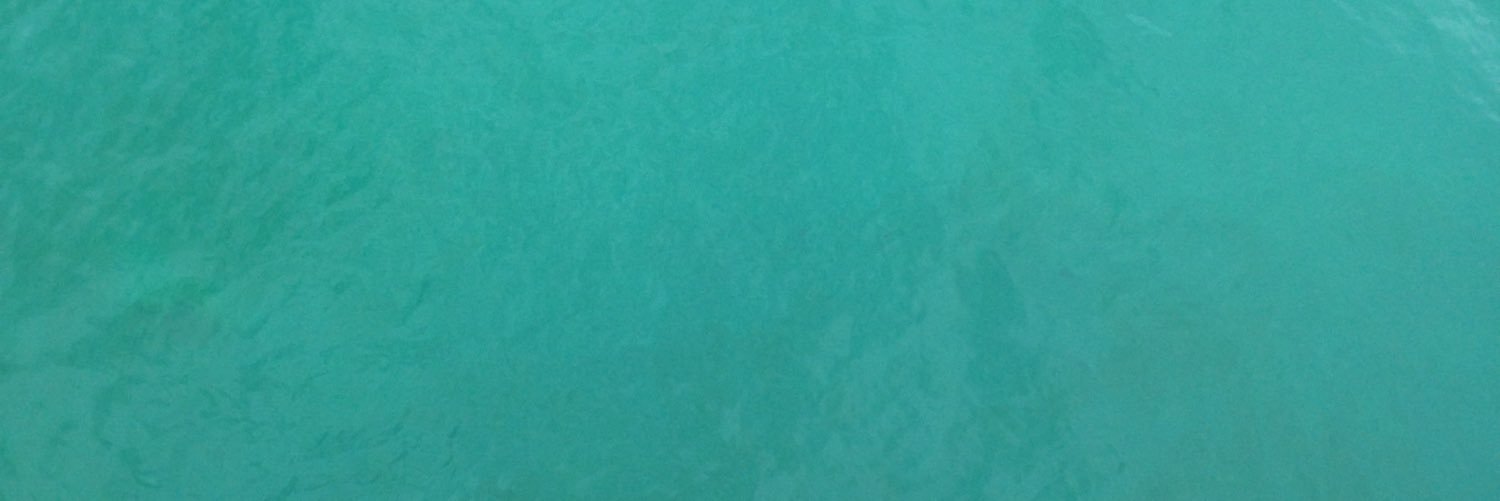 kendall__rogers's profile banner image