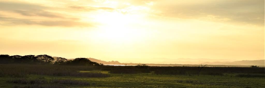 TitoCobeNa's profile banner image