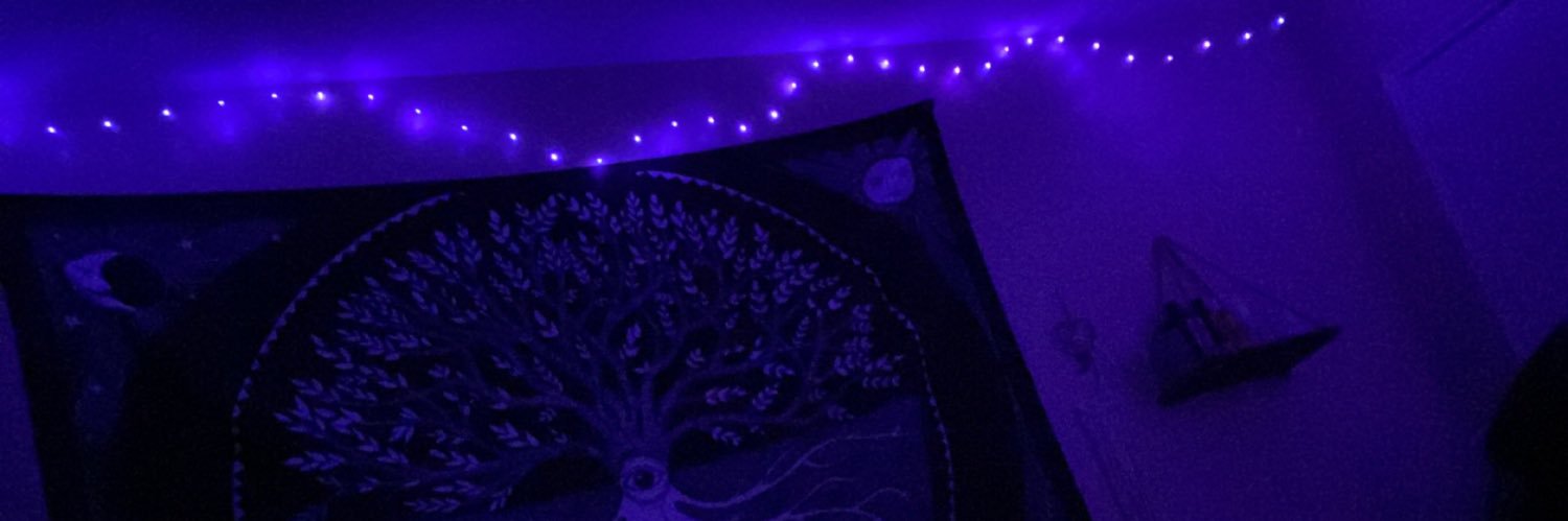 sarabxrrera's profile banner image