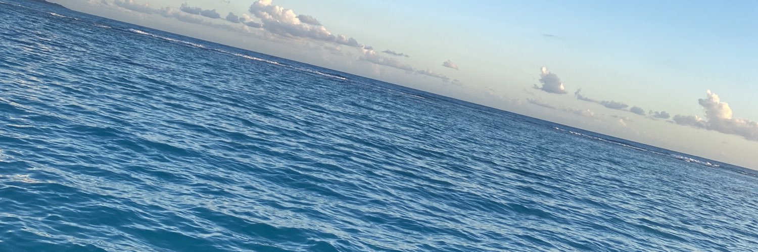 SaskiaBatista's profile banner image